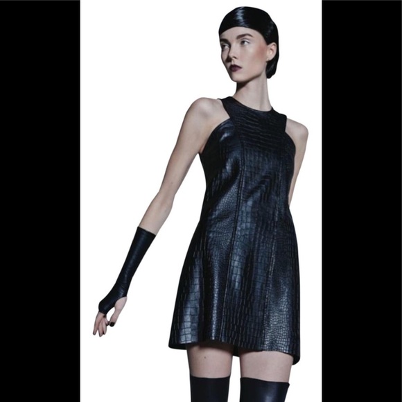 Alexis Ukraine Leather Dress - Picture 2 of 6